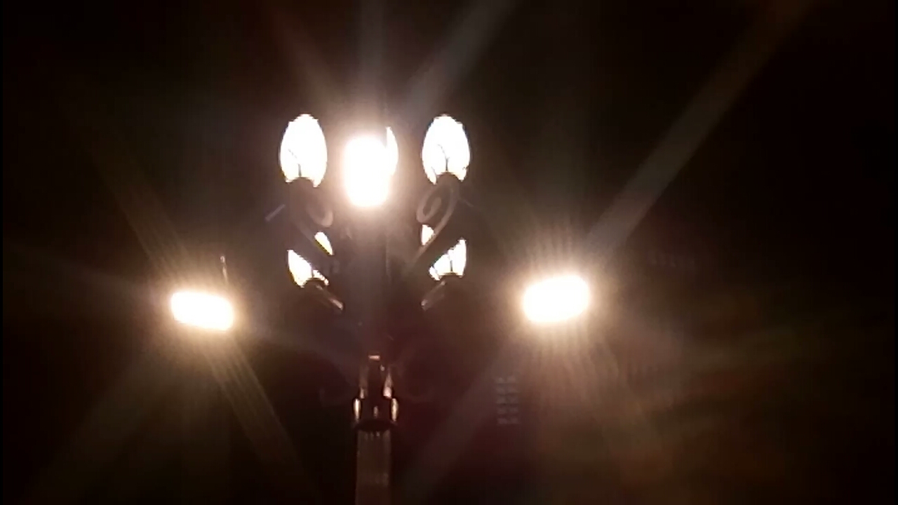 Lotus-Street-Lamp.jpg