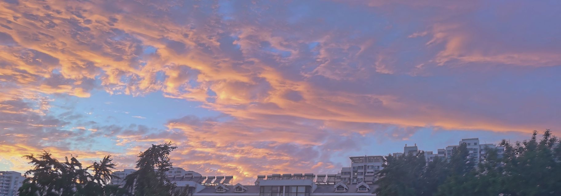 -7803f7e702684ec5.jpg