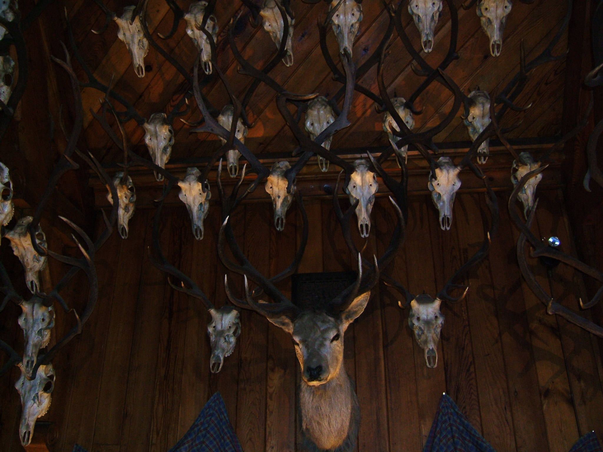 house2.jpg