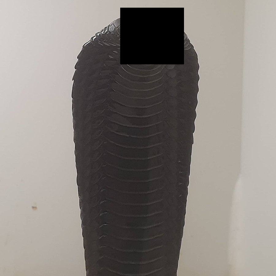 basilisk.png