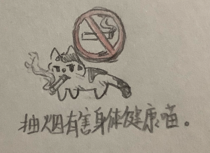 教猫抽烟