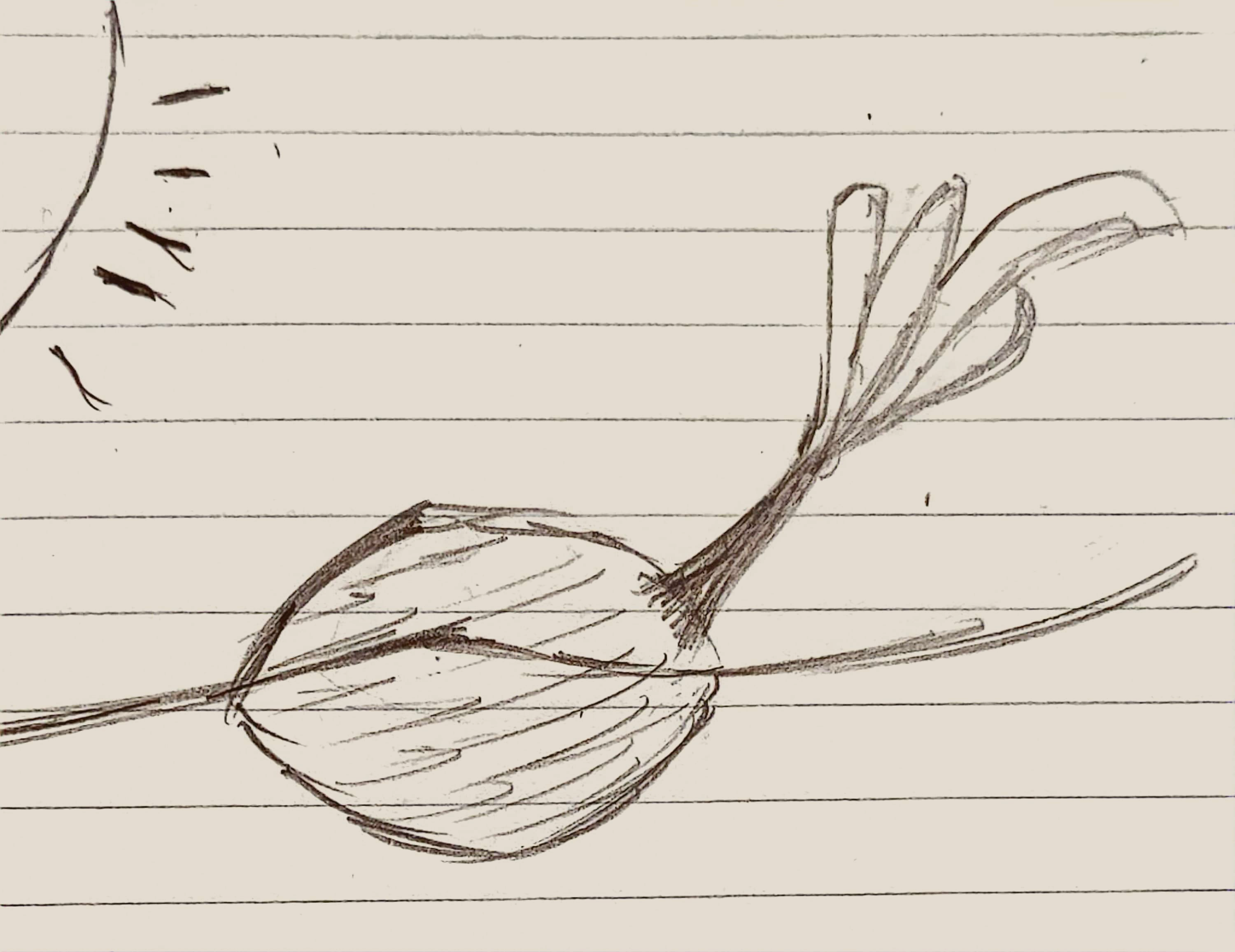 3797-7.png