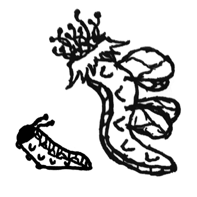 pEt5fjf.md.jpg