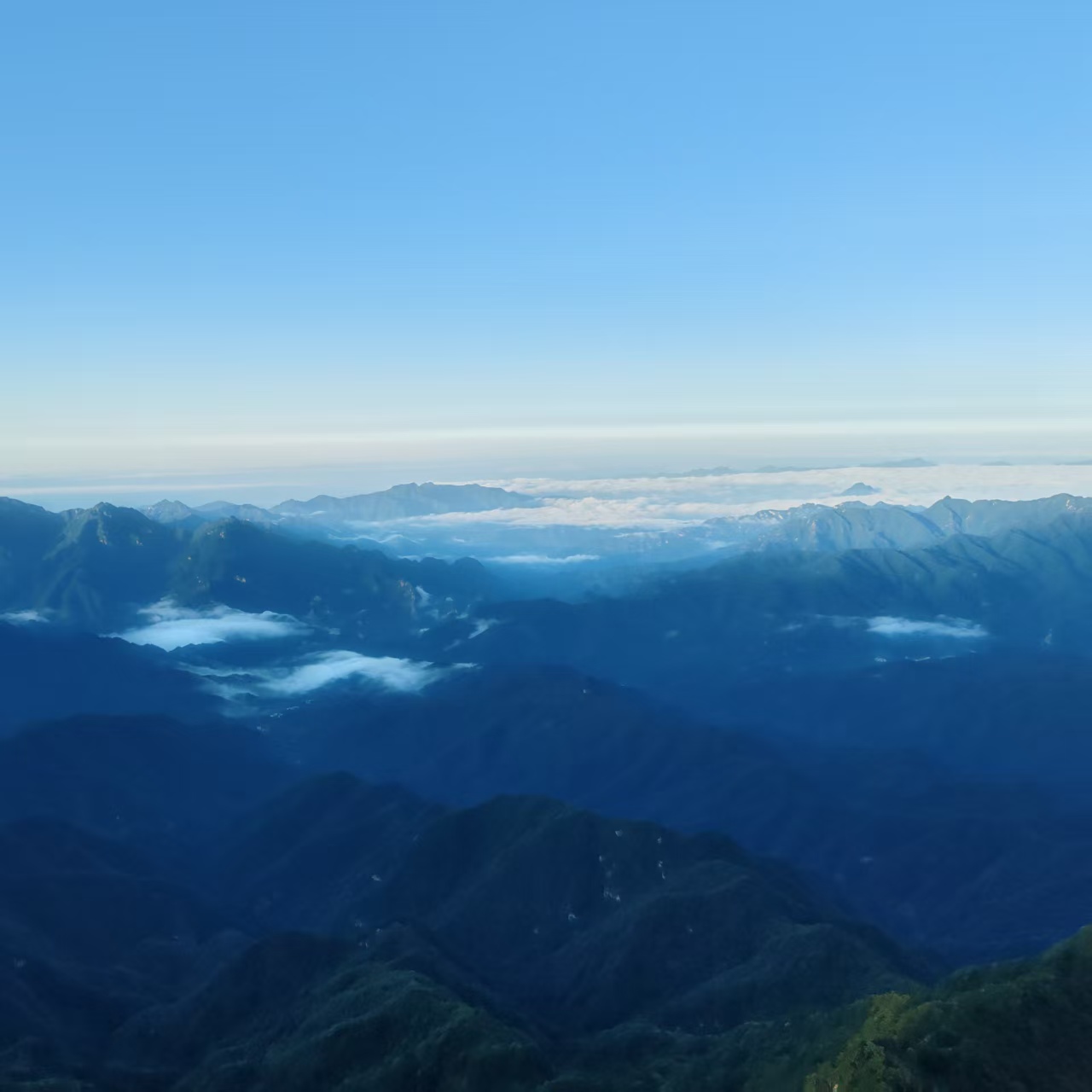 view