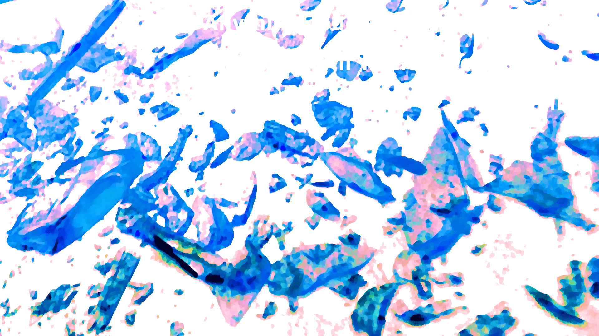 088E6969-D38A-4E73-91AA-8AEC84C66105.png