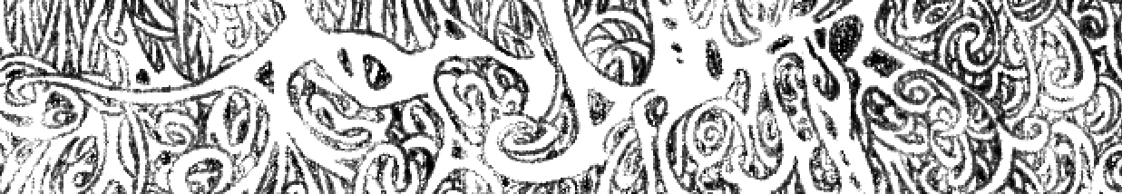 e5b089ec2839368c.png