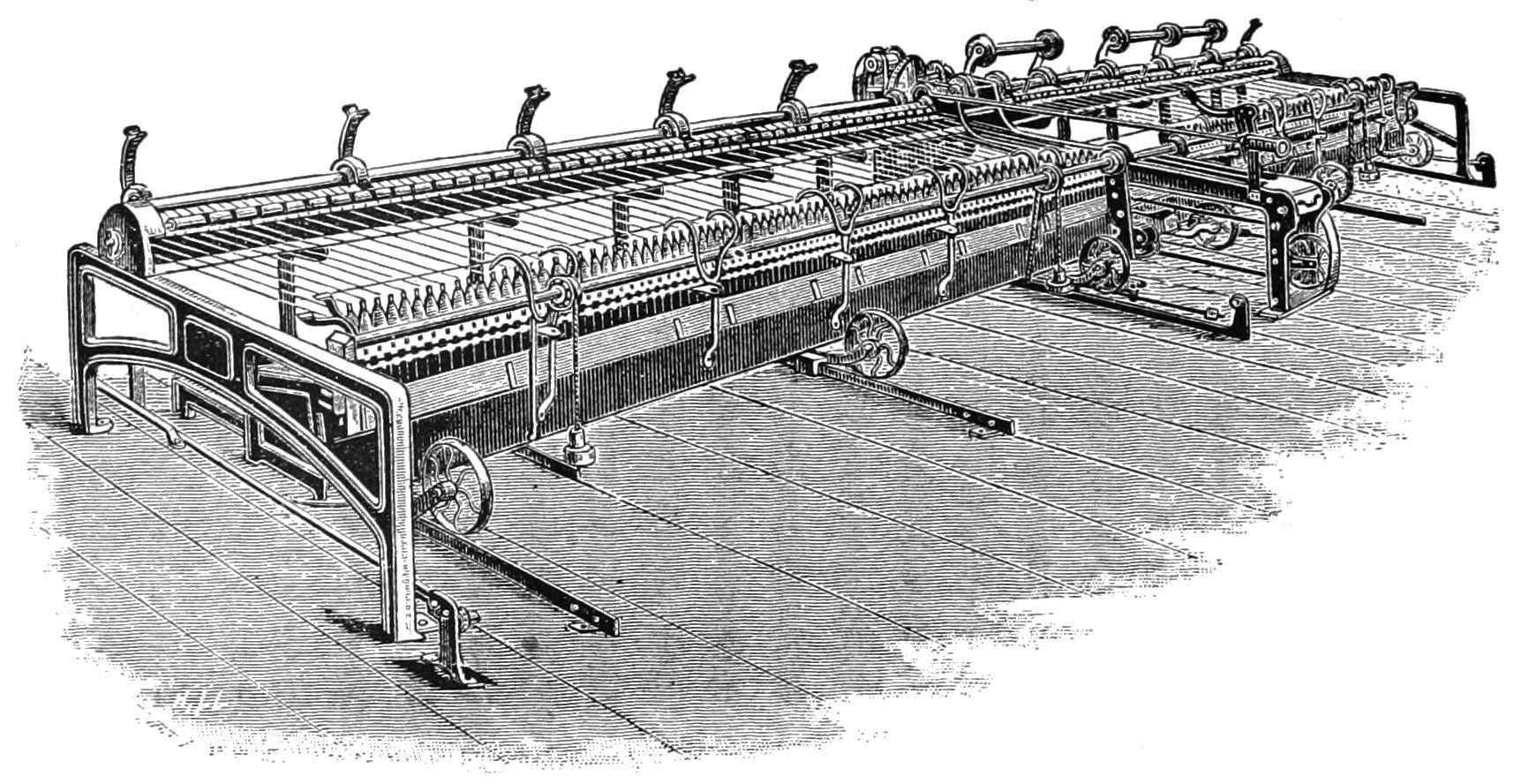 PSM_V39_D310_A_woolen_mule.jpg