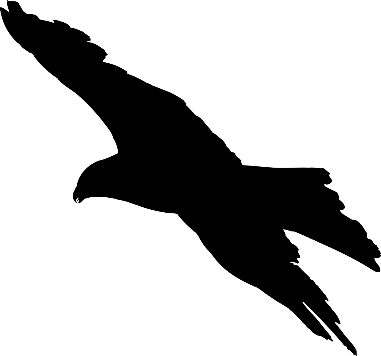 animal-2029998_1280.png