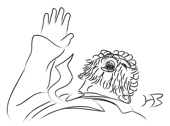 DL_52_04_Wettle_Conked.jpg