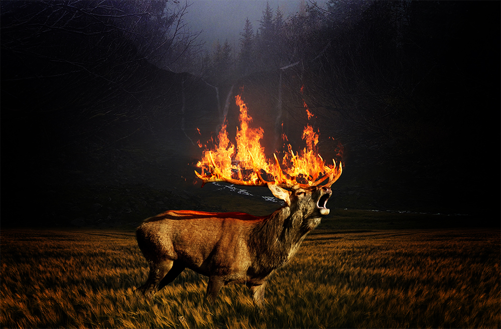Fire-1.jpg