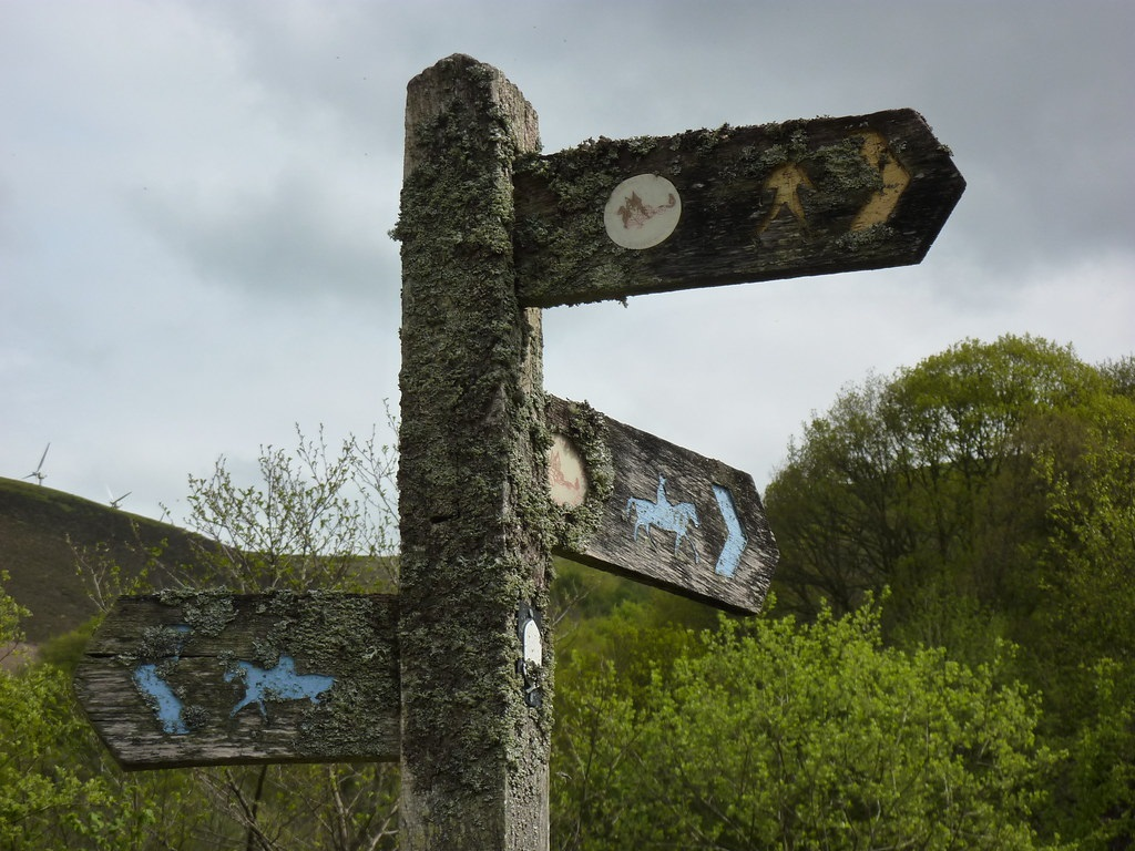 sign.bmp