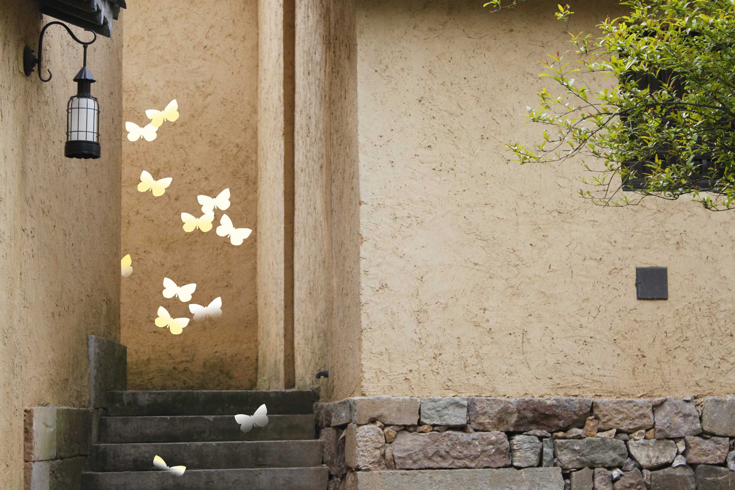 butterfly's day out.jpg
