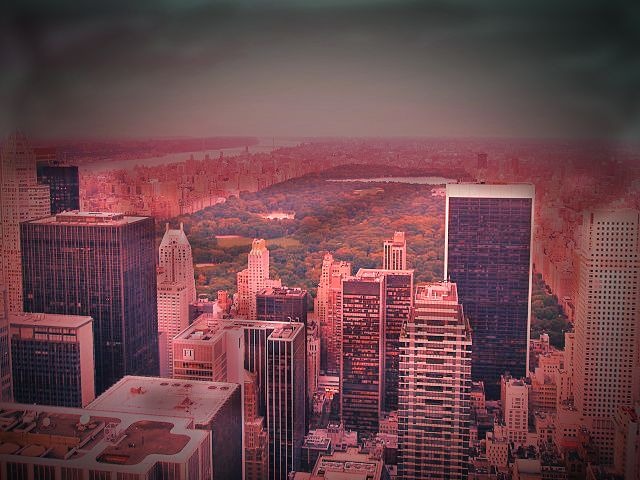 centralpark.jpg