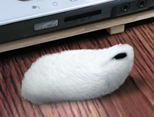 SCP-030-JP.jpg