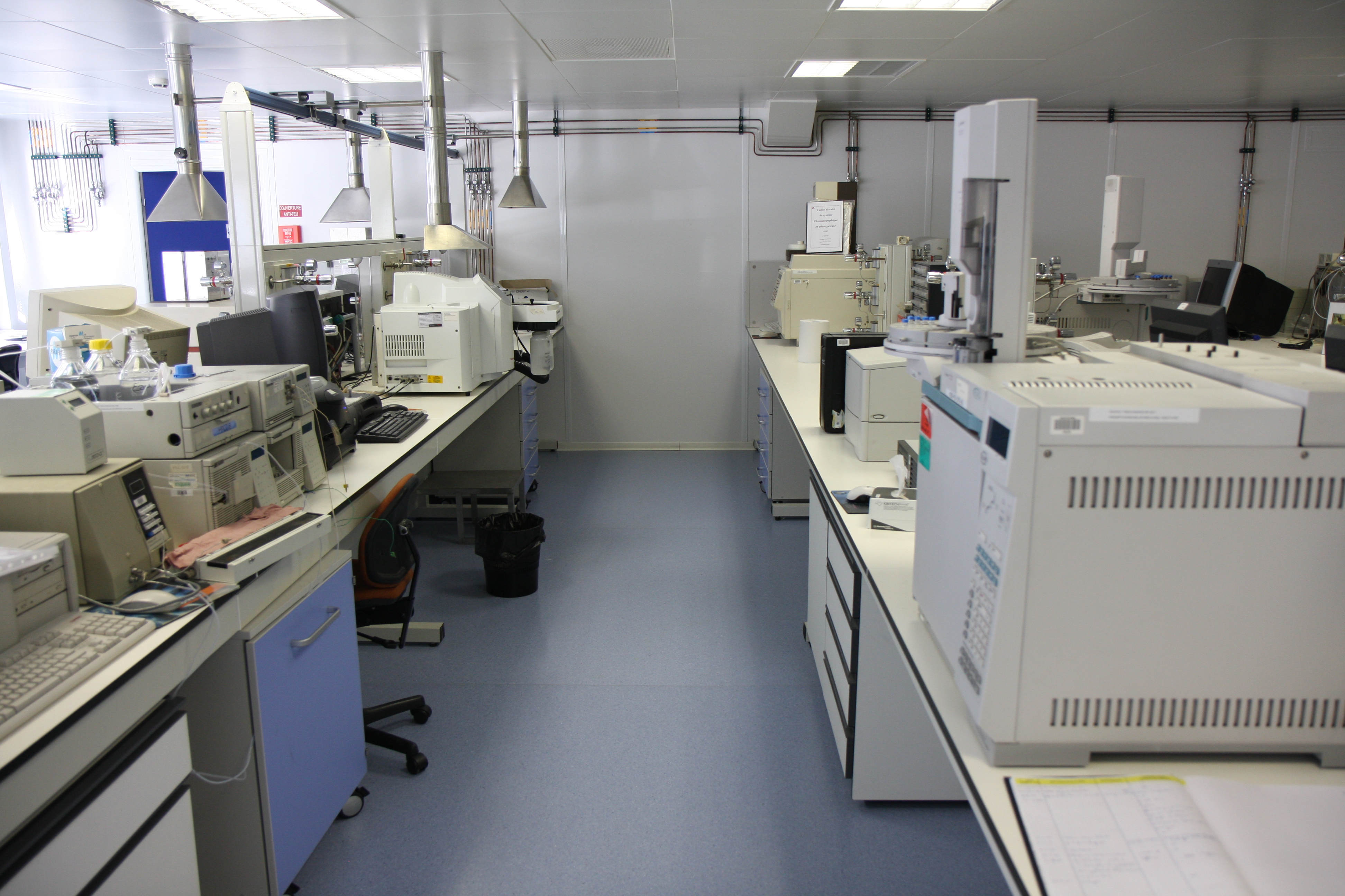lab