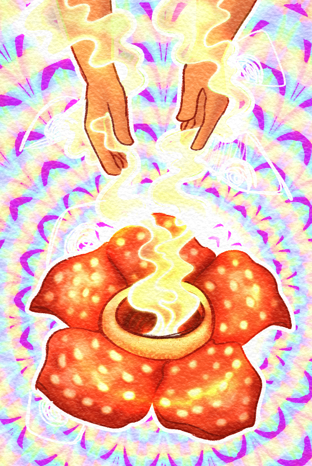 005-FR.jpg