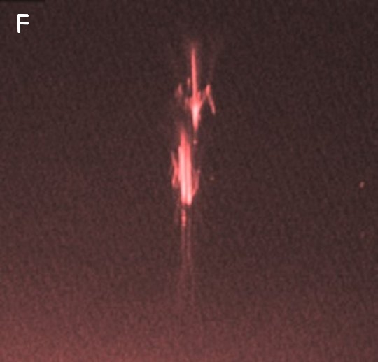 Red_sprite.jpg