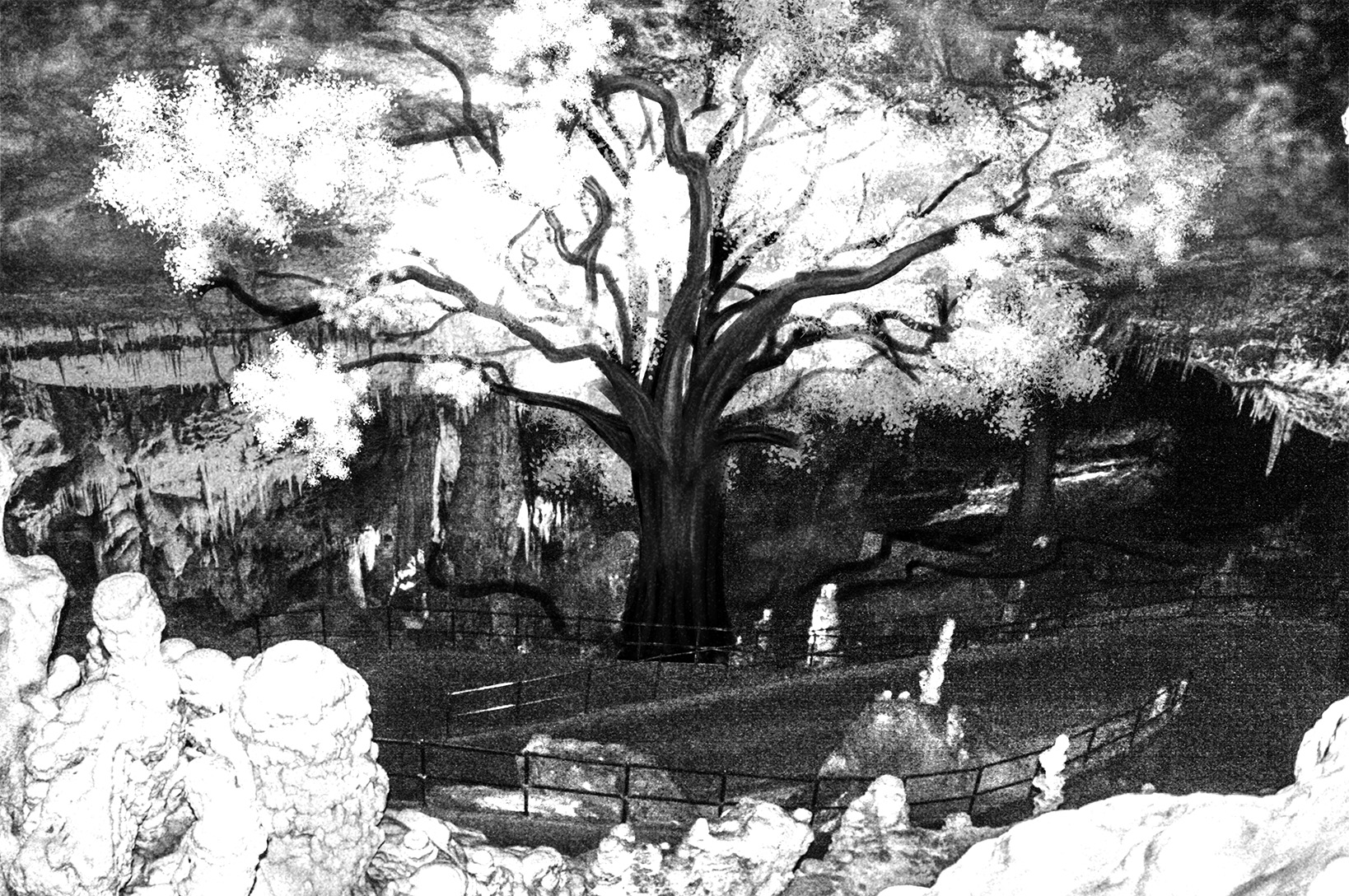tree2.jpg