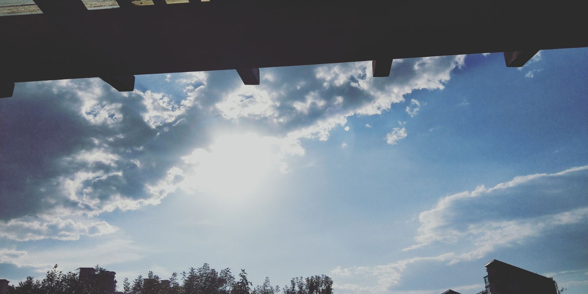 sun.jpg