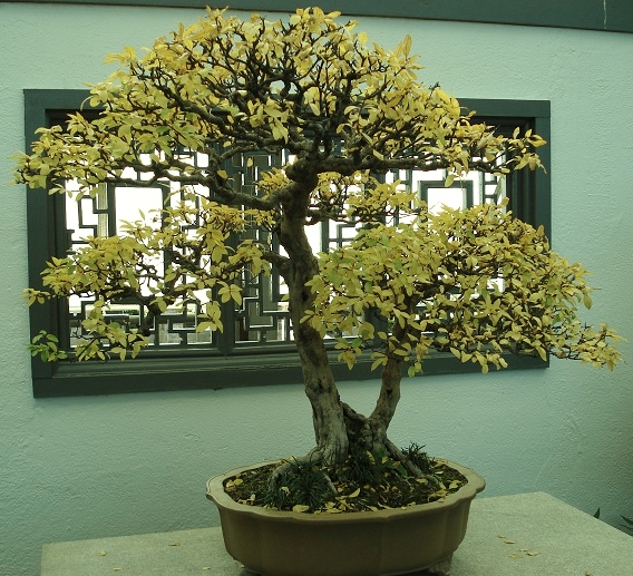 B3.JPG