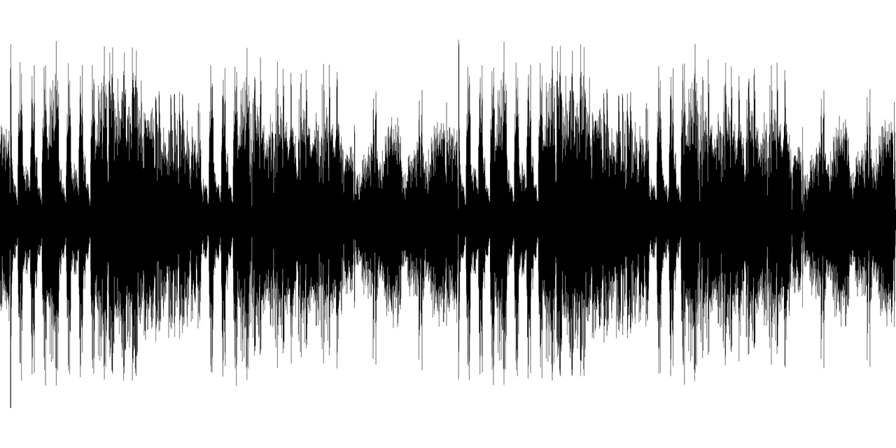 audio-2028515_1280.png