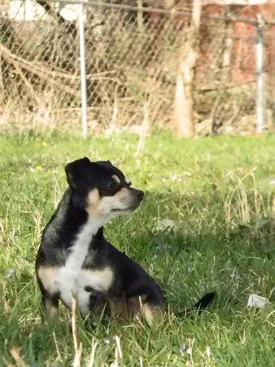 2015 003.jpg