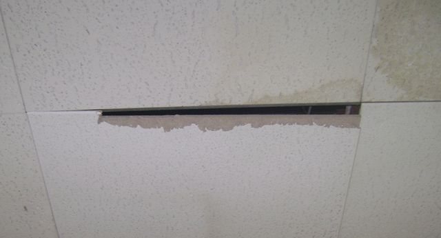 ceiling.jpg