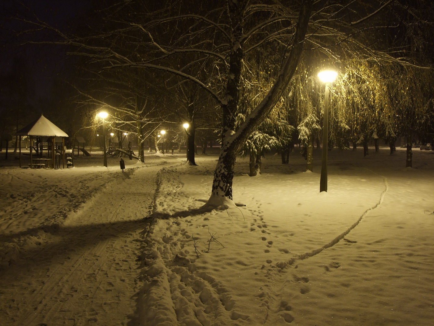 snowpark.jpg