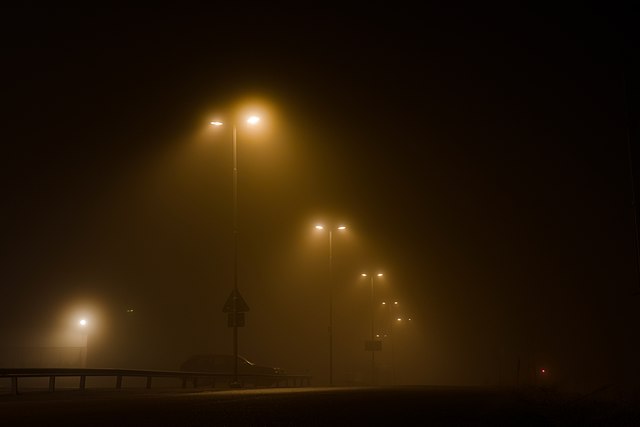 park.jpg