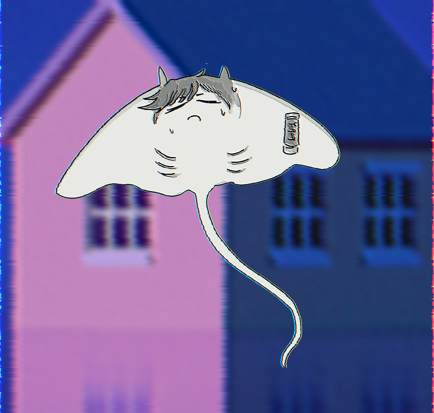 4k