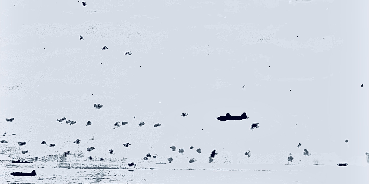 SEA-19