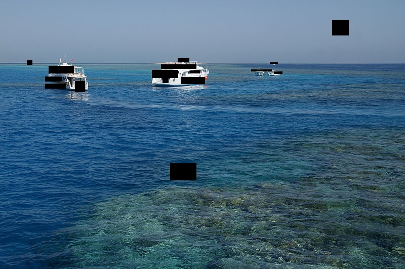 Boats.jpg