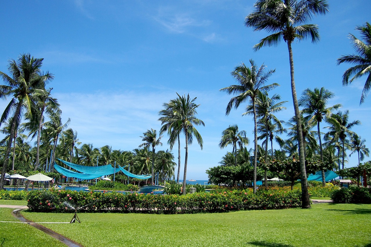 sanya-2801492_1280.jpg