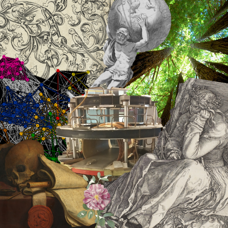 Rhizome-f.jpg