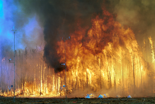 fire
