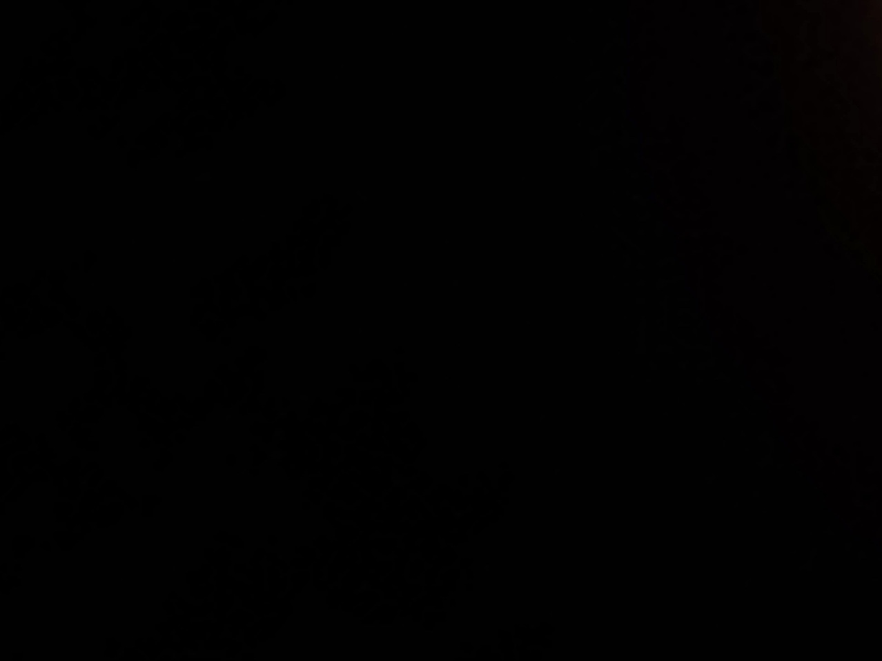20250603_100742.jpg