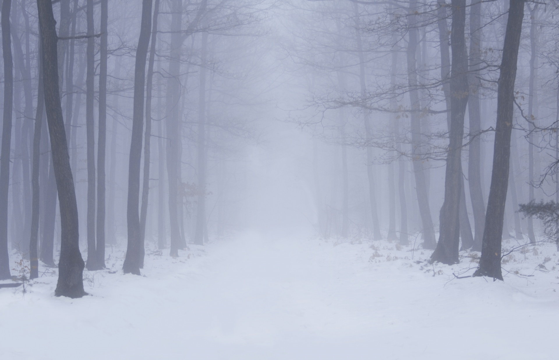 cold.jpg