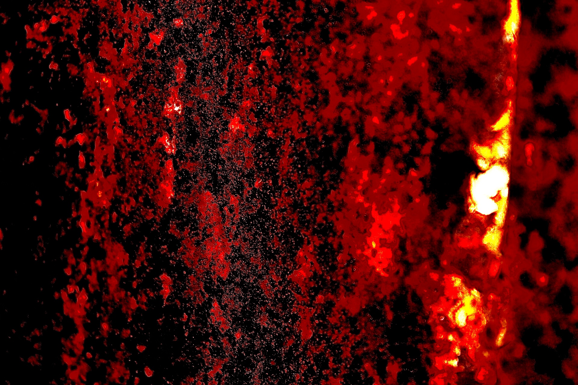 WAR-2