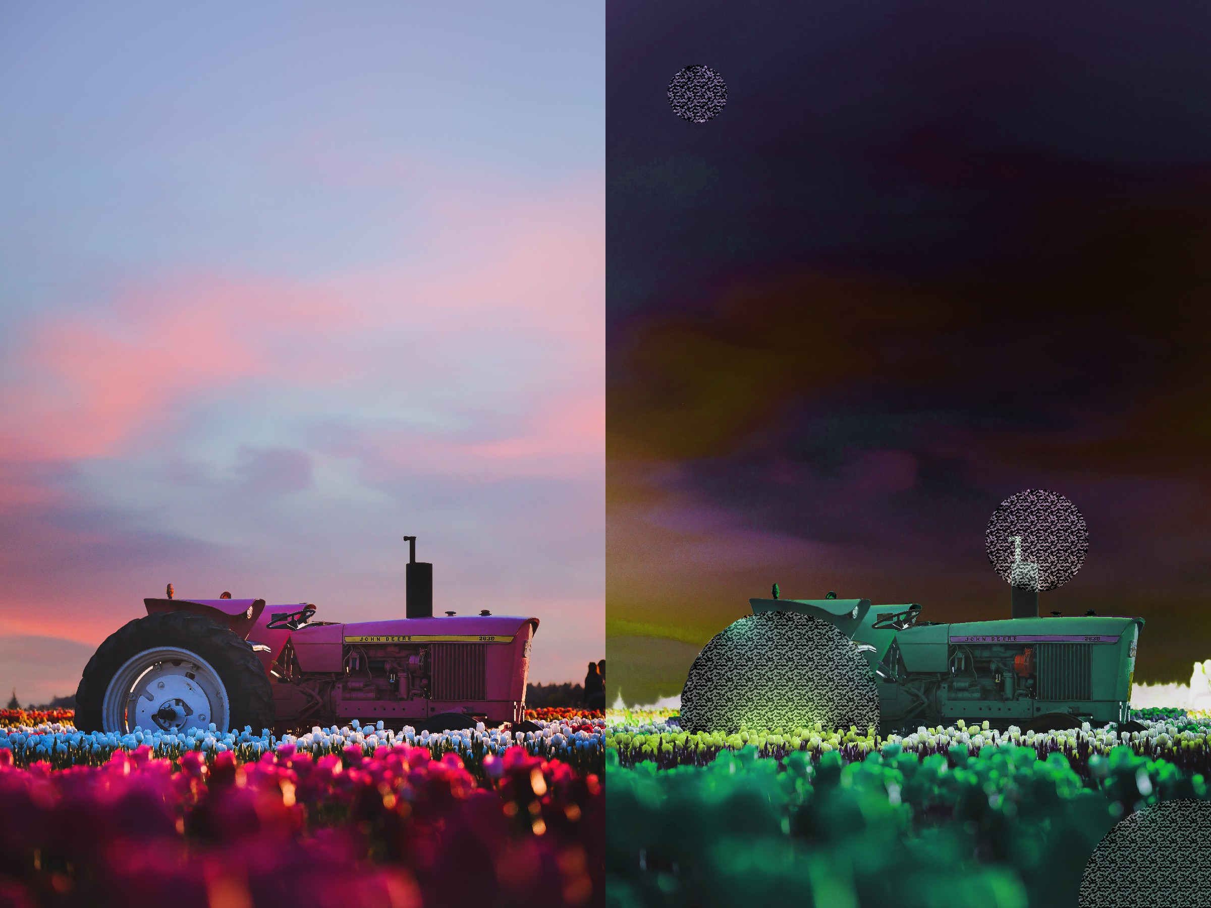 contrast.jpg