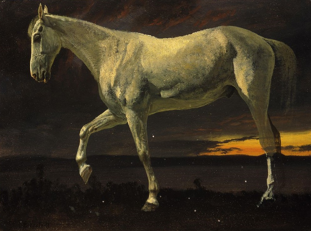 horsie.jpg