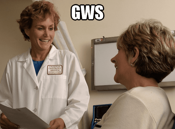 gws meme smaller.png