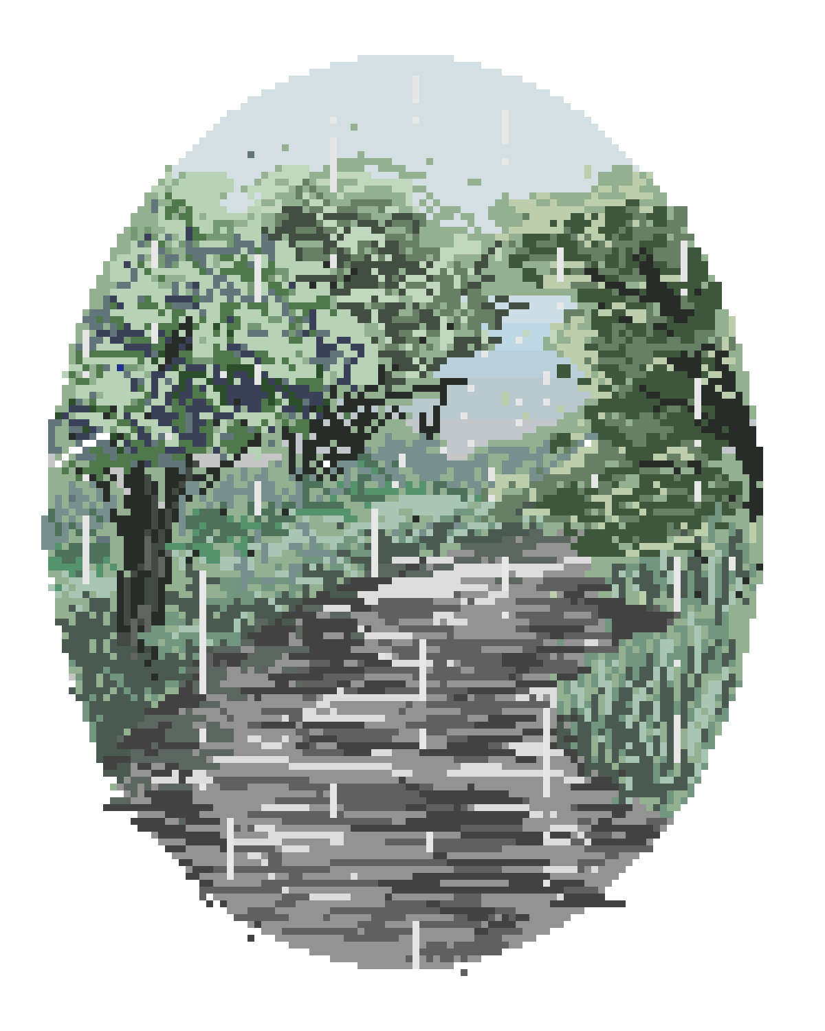 黄梅雨季.png