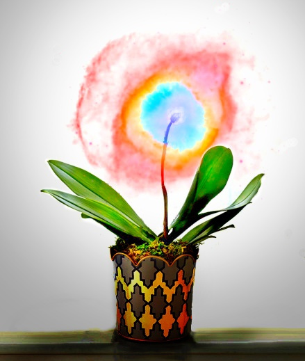 Plant Nebula.jpeg