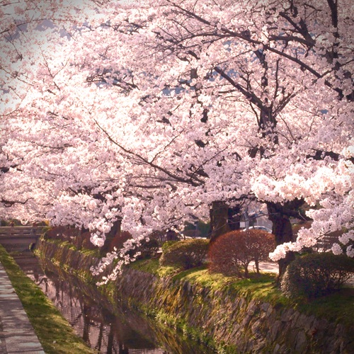 spring04.jpg