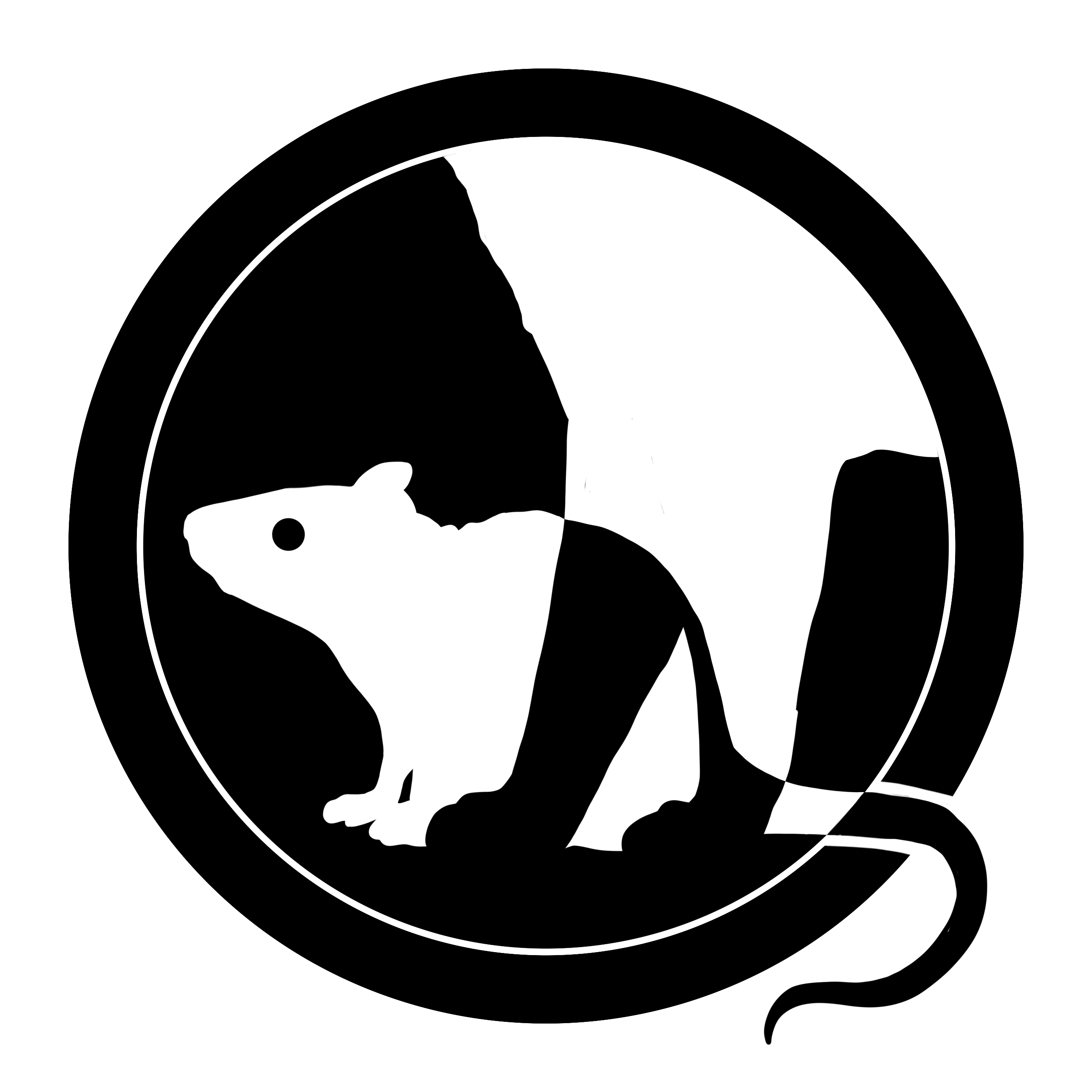 猫科动物.png