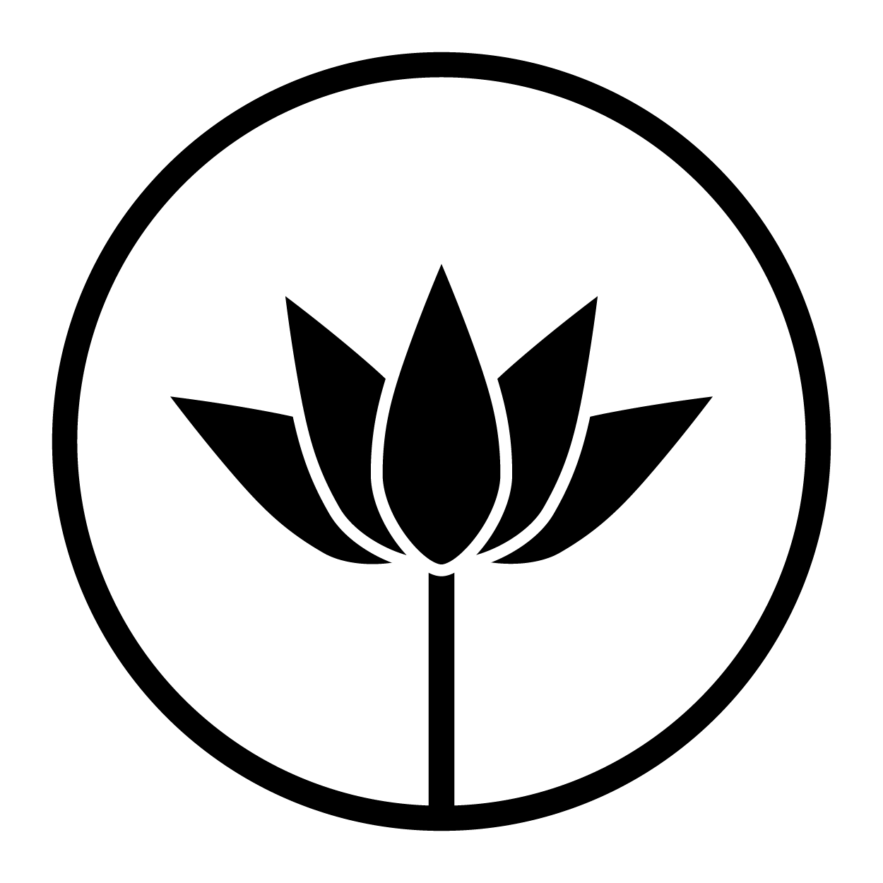 logo34MTF-14.png