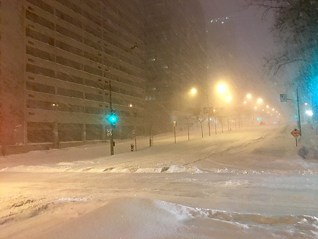 citysnow.jpg