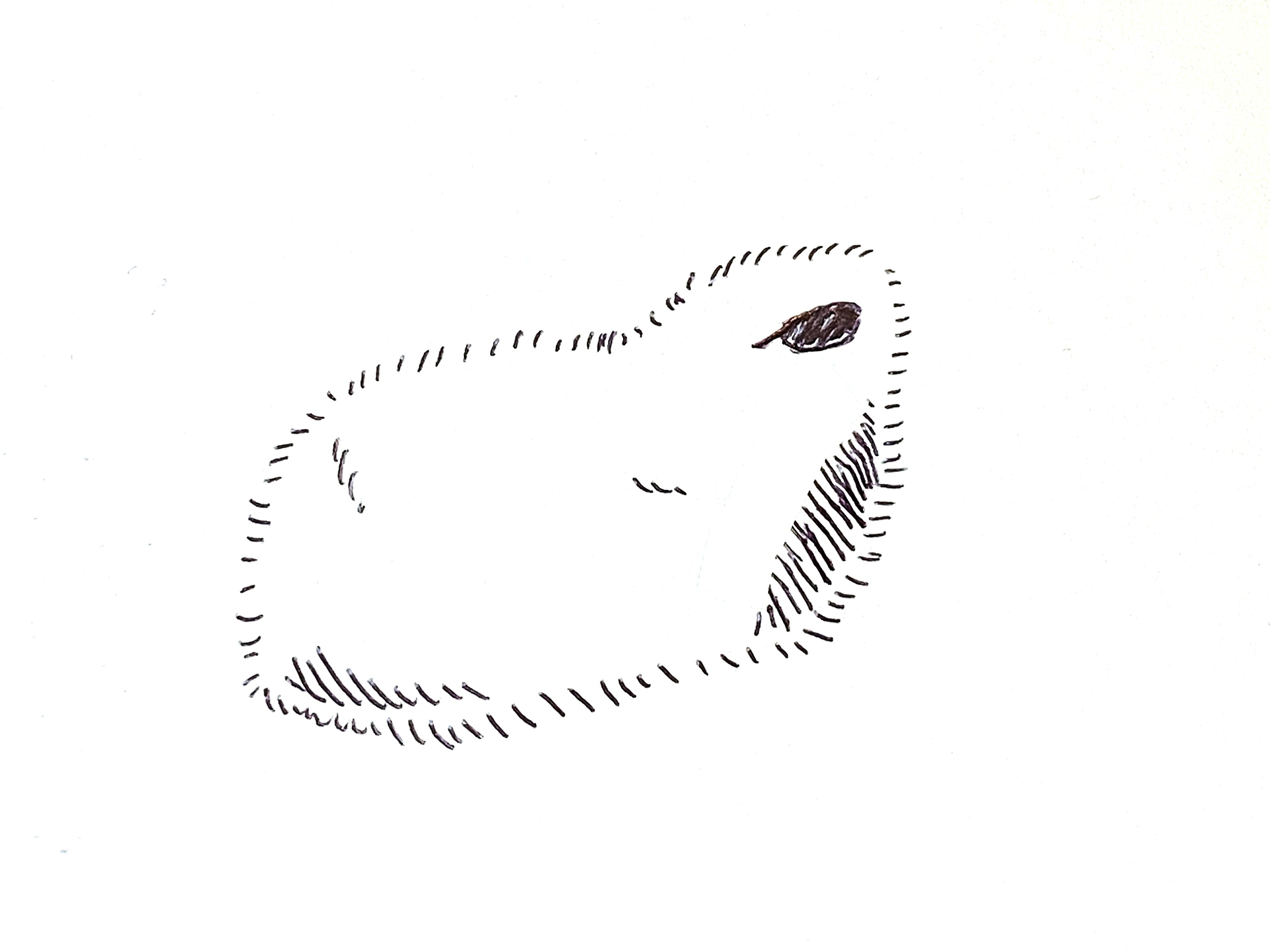 sekiyu.jpg