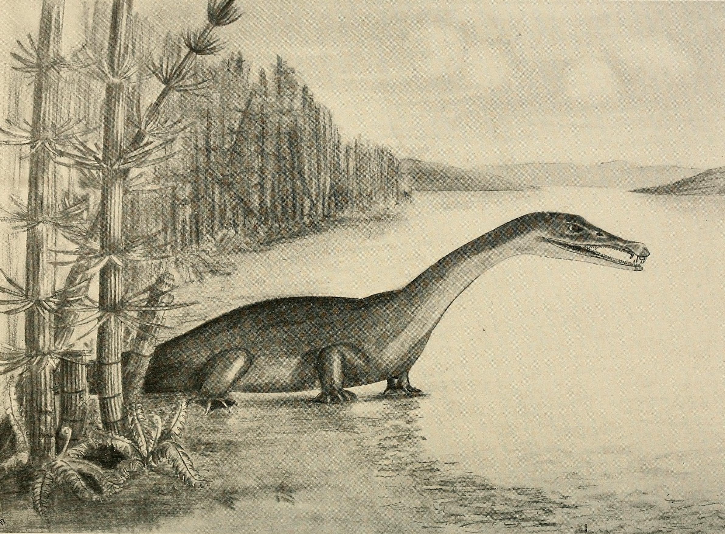 Image_from_page_107_of_"Water_reptiles_of_the_past_and_present"_(1914)_(14586299810).jpg