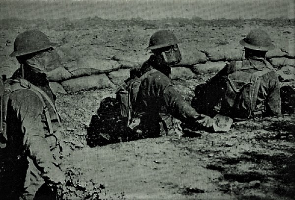 devildogs.jpg